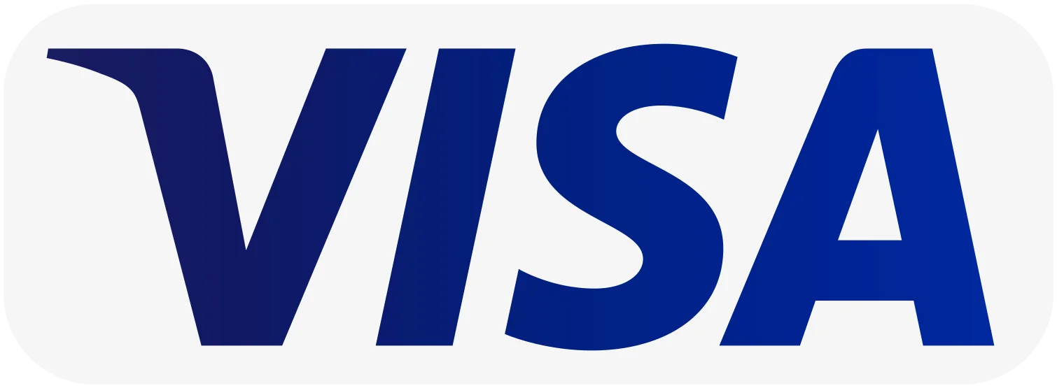 Pago seguro con Visa